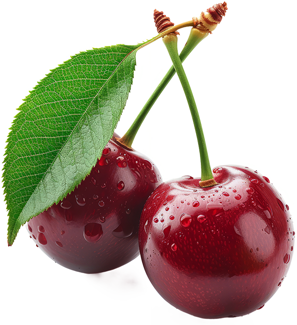 acmelivia cherry